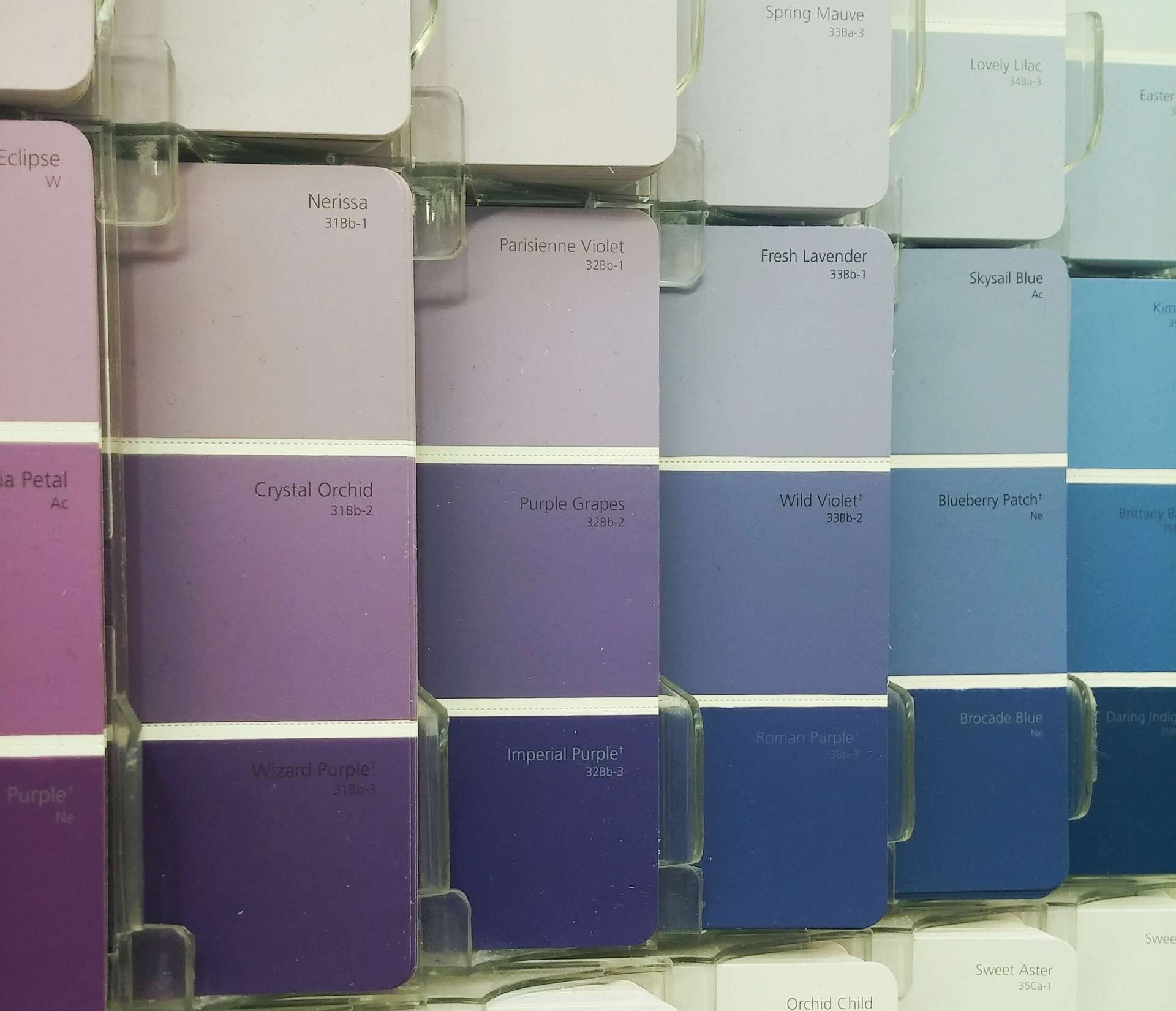paint swatches