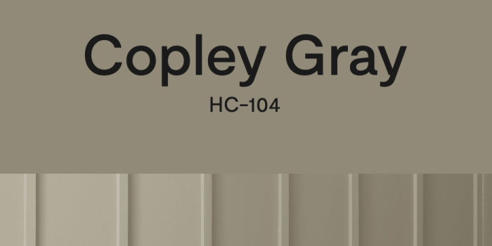 Copley Gray