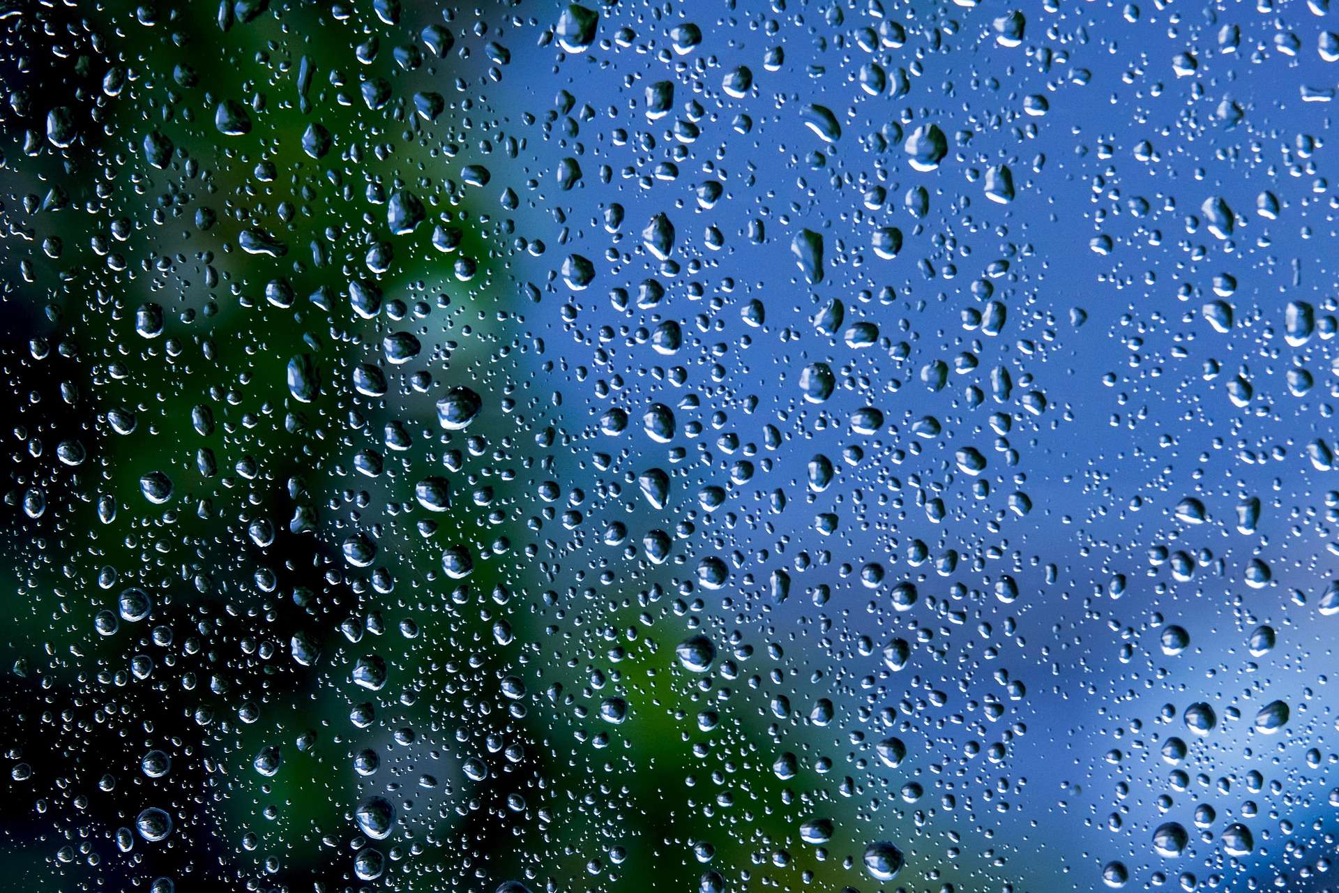 rain
